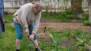 Spryskaj chwasty solnym roztworem. Przestaniesz wyrywać je ręcznie