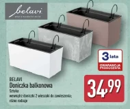 Вазон Belavi