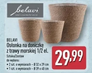 Osłonka Belavi