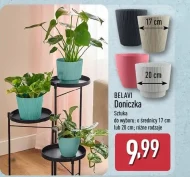 Doniczka Belavi