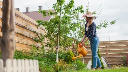 Od lat regularnie stosuję w swoim ogrodzie. Rośliny rosną jak na drożdżach. 