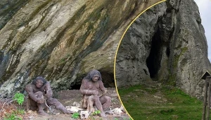 W Jaskini Stajnia znaleziono szczątki Neandertalczyków