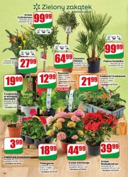 Tydzień pełen okazji na zakupy – Dino