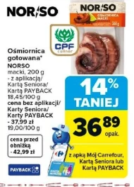 Восьминіг Norso