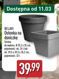 Osłonka Belavi