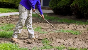 Jak "uzdrowić" gliniastą glebę w ogrodzie? W jeden sezon stanie się żyzna