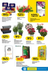 Dom w dobrym stylu – Castorama