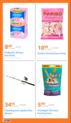 Promocja tygodnia - Action