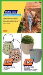 Promocja tygodnia - Action