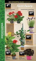 Świeżość prosto z lady w supercenie - Delikatesy Centrum