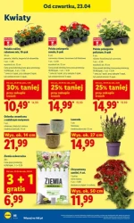 Smakuj taniej każdego dnia – Lidl