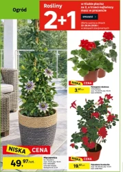 La Majówka! - Leroy Merlin