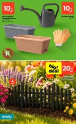 Hitowa oferta od czwartku - Dealz