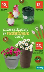 Hitowa oferta od czwartku - Dealz