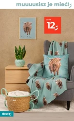 Hitowa oferta od czwartku - Dealz