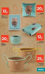 Hitowa oferta od czwartku - Dealz