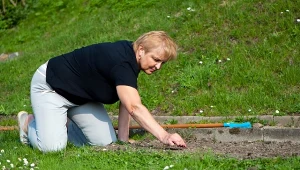 Zrób mieszankę i spryskaj chwasty w ogrodzie. Wypali je do korzenia