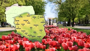 Najpierw minus, potem plus. Pogoda szykuje sporą zmianę