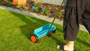 Jak pozbyć się mchu z trawnika domowym sposobem?