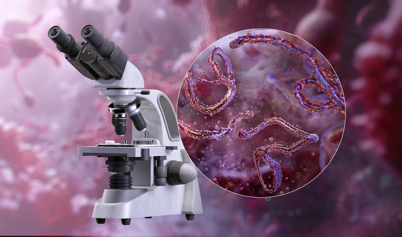 Mikroskop laboratoryjny ustawiony na tle powiększonego obrazu niciowatych bakterii lub wirusów, ukazujących szczegóły ich struktury na fioletowo-różowym tle.