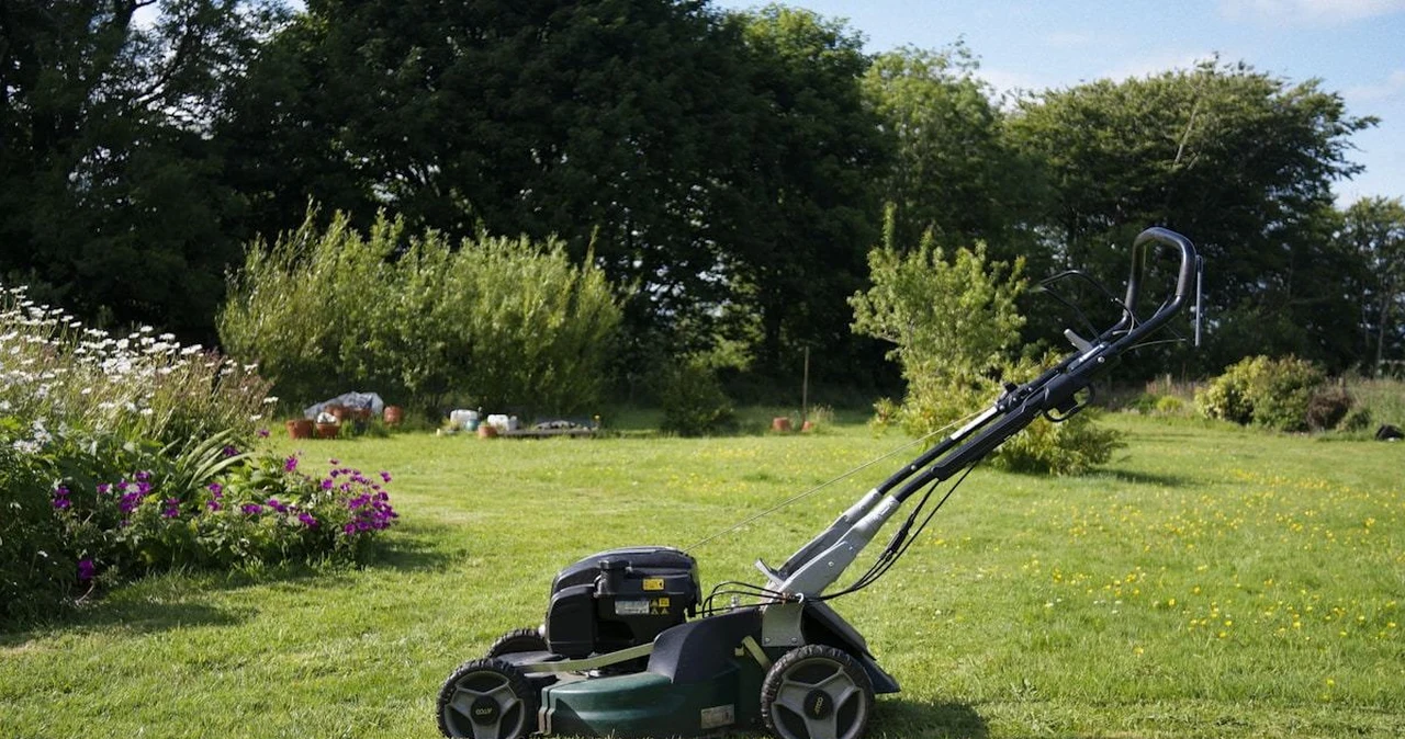 Kosiarka spalinowa czy elektryczna — co się opłaca w 2026?
