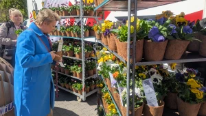 Z okazji Dnia Ziemi 2026 Grupa Polsat Plus zorganizowała zbiórkę używanych książek. W zamian można było dostać sadzonki kwiatów