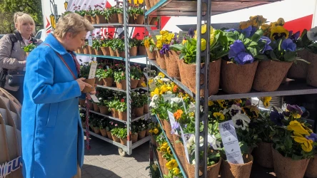Z okazji Dnia Ziemi 2026 Grupa Polsat Plus zorganizowała zbiórkę używanych książek. W zamian można było dostać sadzonki kwiatów