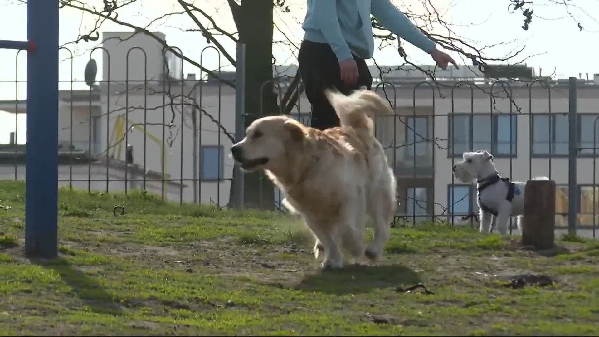 Czysta Polska - odc.259