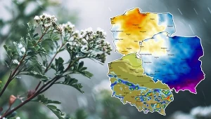 Pogoda wkrótce się załamie i prędko nie poprawi. Wiemy, jaka będzie majówka