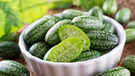 To warzywo jest u nas mało znane