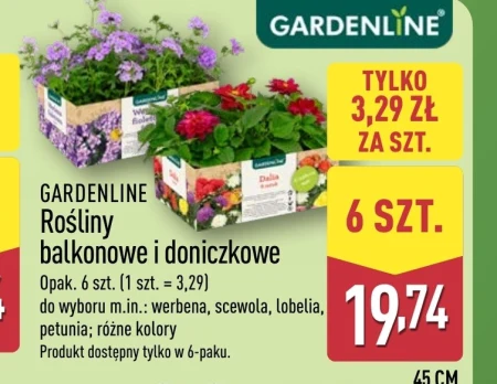 Балконна рослина Gardenline