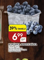 Borówka amerykańska Chata polska