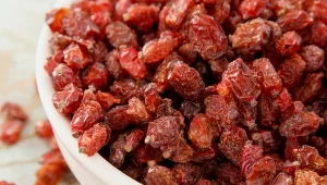 Czy berberys jest zdrowy? Kto powinien go spożywać?