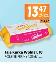 Jaja Kurka wolna