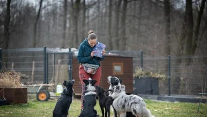 Jeśli tego nie zmienimy, pogryzień będzie więcej. Katarzyna Harmata apeluje