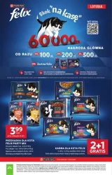 Rozsmakuj się w nowościach - Stokrotka