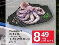Ośmiornica Ok.