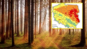 IMGW bije na alarm, część Polski "na czerwono". Ekstremalne zagrożenie