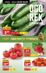 Tydzień pełen niskich cen – Biedronka