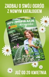 Tydzień pełen niskich cen – Biedronka