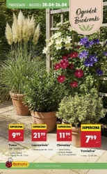 Tydzień pełen niskich cen – Biedronka