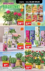 Tydzień pełen niskich cen – Biedronka