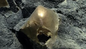 Tajemnicza "złota kula" z głębin Alaski zidentyfikowana po 2 latach