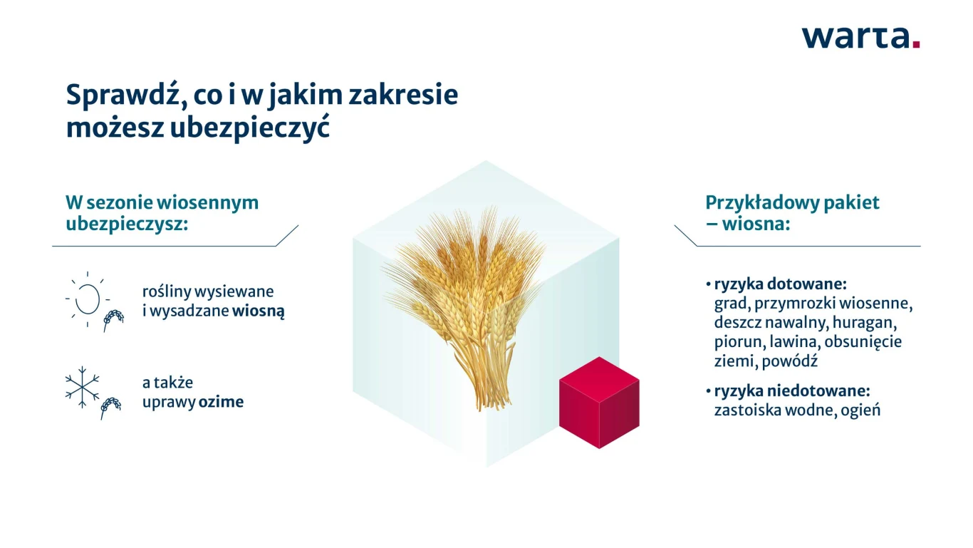 Grafika informacyjna promująca ubezpieczenie upraw rolnych w sezonie wiosennym, przedstawiająca snop zboża w centralnej części oraz listę ryzyk dotowanych i niedotowanych, z logotypem Warta w prawym górnym rogu.