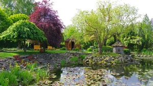 Poznaj niezwykłą atrakcję Pomorza Zachodniego