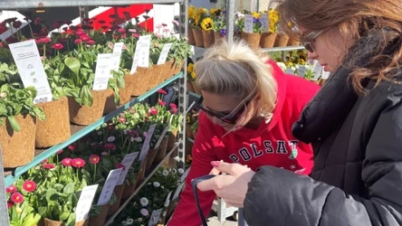 Dzień Ziemi przed Polsatem. Kwiaty za książki