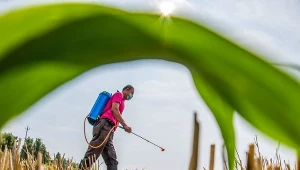 Zlokalizowane w Europie zakłady produkujące pestycydy eksportują zakazane w UE substancje w wiele zakątków świata, w tym do krajów Mercosur. Zdj. ilustracyjne