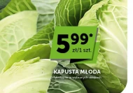 Kapusta młoda