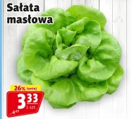 Sałata masłowa