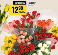 Тюльпан Tulipany